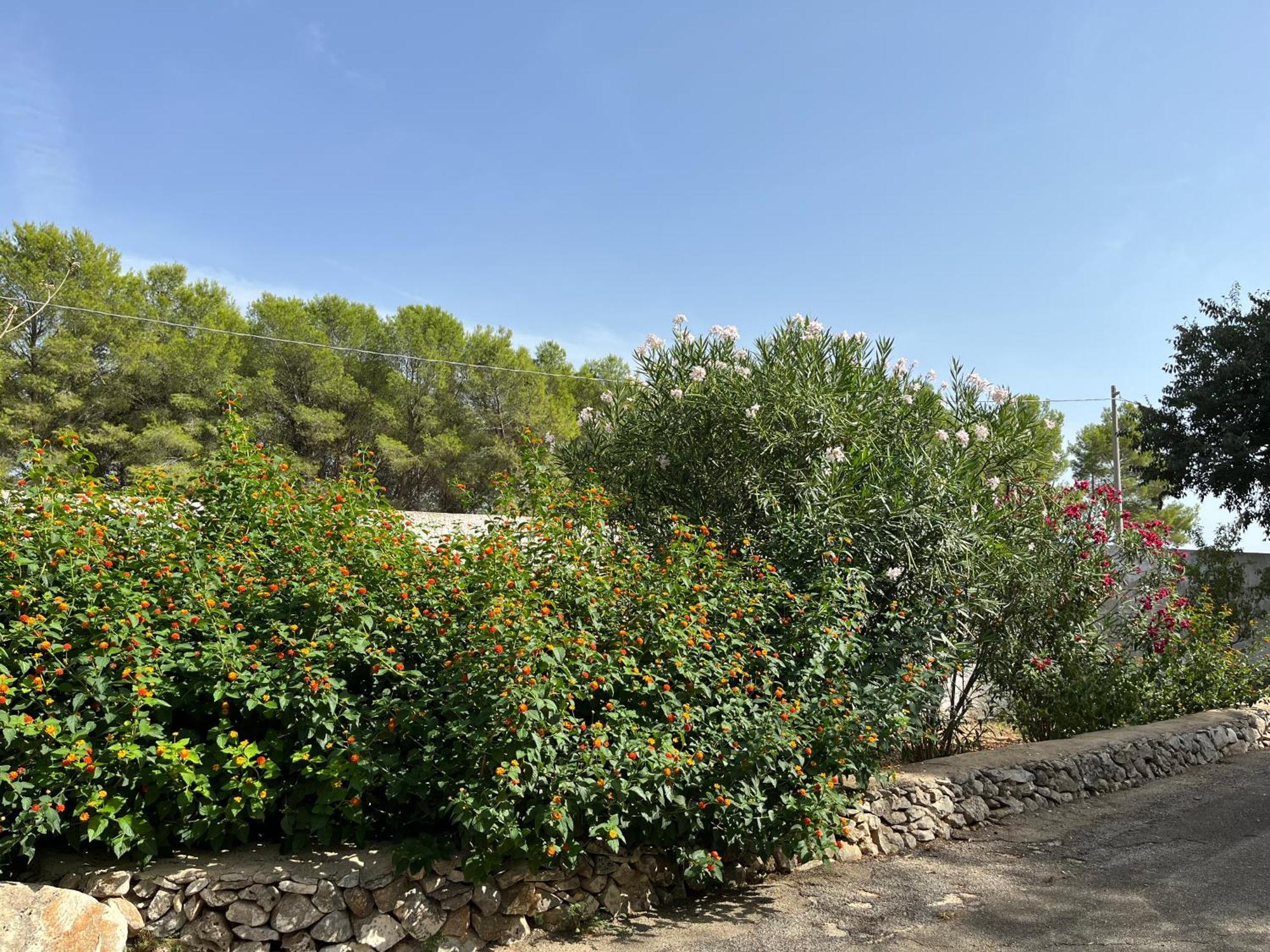 Casette Masseria La Camardia Sava Kültér fotó