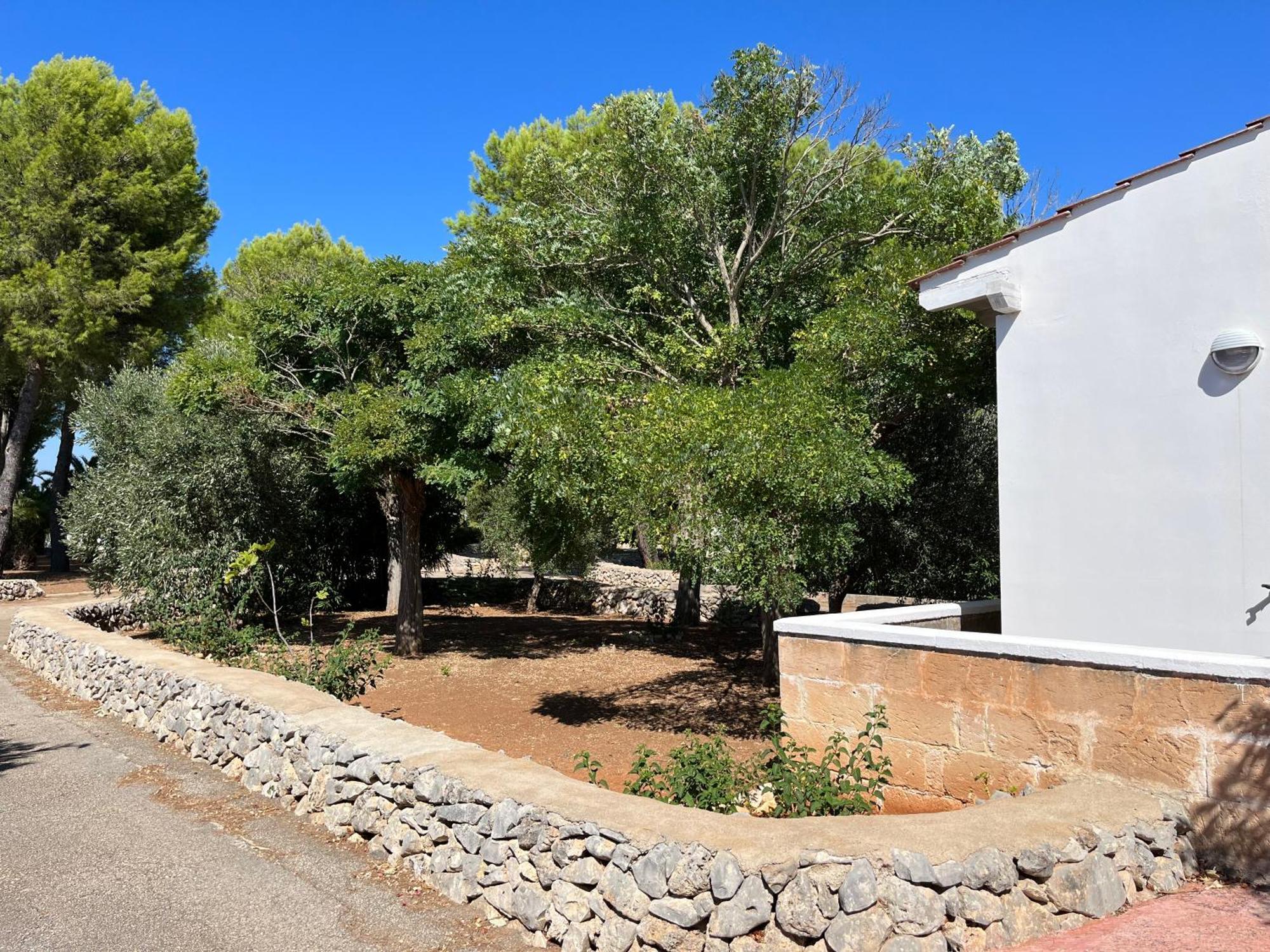 Casette Masseria La Camardia Sava Kültér fotó