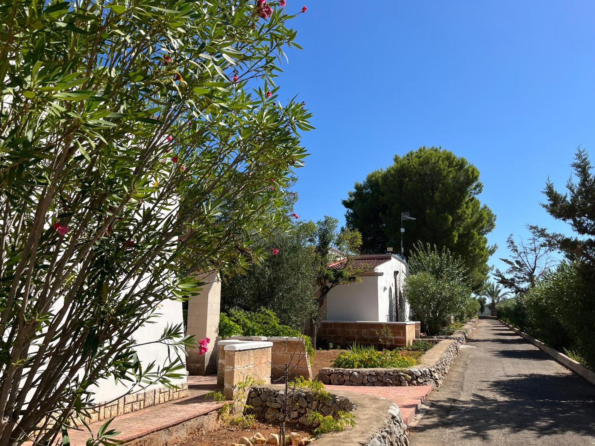 Casette Masseria La Camardia Sava Kültér fotó