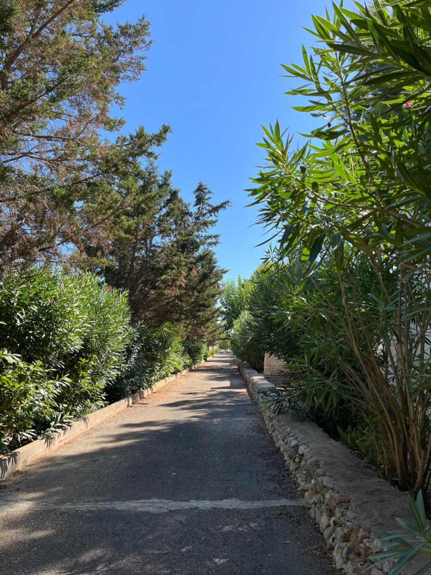 Casette Masseria La Camardia Sava Kültér fotó